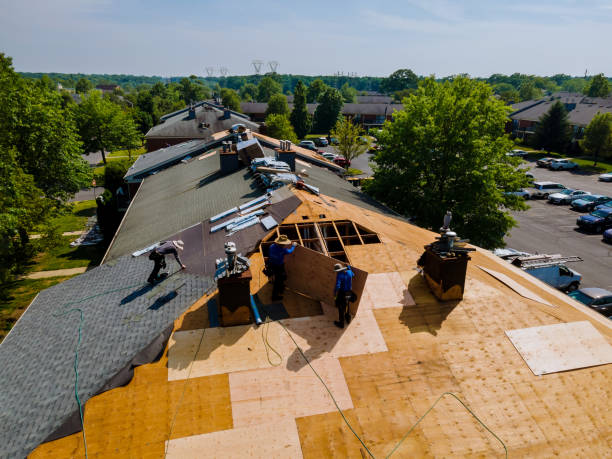 Trusted Roof Replacement service in De Soto, IL - Brentwood Metal Roofing